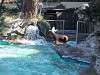 ueno_zoo_0369_mini.jpg