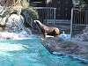 ueno_zoo_0370_mini.jpg