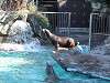 ueno_zoo_0371_mini.jpg