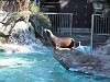 ueno_zoo_0373_mini.jpg