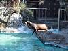 ueno_zoo_0374_mini.jpg
