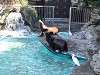 ueno_zoo_0375_mini.jpg