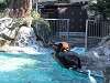 ueno_zoo_0377_mini.jpg