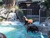ueno_zoo_0378_mini.jpg