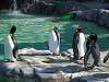 ueno_zoo_0379_mini.jpg