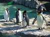 ueno_zoo_0381_mini.jpg