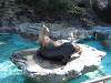 ueno_zoo_0386_mini.jpg