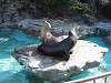 ueno_zoo_0387_mini.jpg