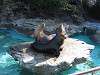 ueno_zoo_0388_mini.jpg