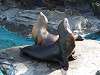 ueno_zoo_0391_mini.jpg