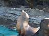 ueno_zoo_0395_mini.jpg