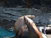 ueno_zoo_0402_mini.jpg