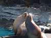 ueno_zoo_0403_mini.jpg