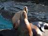 ueno_zoo_0414_mini.jpg