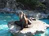 ueno_zoo_0418_mini.jpg