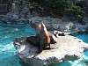 ueno_zoo_0419_mini.jpg