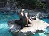 ueno_zoo_0420_mini.jpg