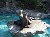 ueno_zoo_0421_mini.jpg