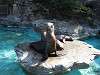 ueno_zoo_0422_mini.jpg