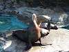 ueno_zoo_0425_mini.jpg