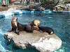 ueno_zoo_0427_mini.jpg