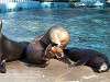 ueno_zoo_0429_mini.jpg