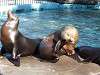 ueno_zoo_0467_mini.jpg