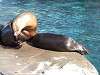 ueno_zoo_0478_mini.jpg