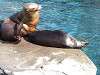 ueno_zoo_0481_mini.jpg