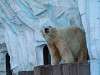 ueno_zoo_0504_mini.jpg
