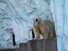ueno_zoo_0509_mini.jpg