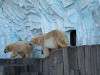 ueno_zoo_0510_mini.jpg