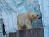 ueno_zoo_0512_mini.jpg