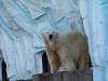 ueno_zoo_0514_mini.jpg