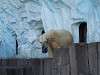 ueno_zoo_0517_mini.jpg