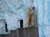ueno_zoo_0520_mini.jpg