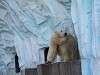 ueno_zoo_0521_mini.jpg
