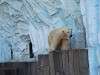 ueno_zoo_0524_mini.jpg