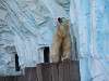 ueno_zoo_0525_mini.jpg