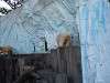 ueno_zoo_0531_mini.jpg