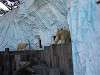 ueno_zoo_0533_mini.jpg