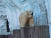 ueno_zoo_0540_mini.jpg