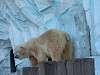 ueno_zoo_0551_mini.jpg