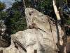 ueno_zoo_0558_mini.jpg