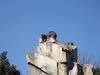 ueno_zoo_0574_mini.jpg