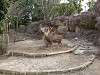 ueno_zoo_0604_mini.jpg