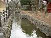 ueno_zoo_0613_mini.jpg