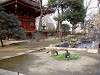 ueno_zoo_0620_mini.jpg