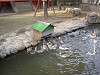 ueno_zoo_0626_mini.jpg