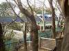 ueno_zoo_0634_mini.jpg
